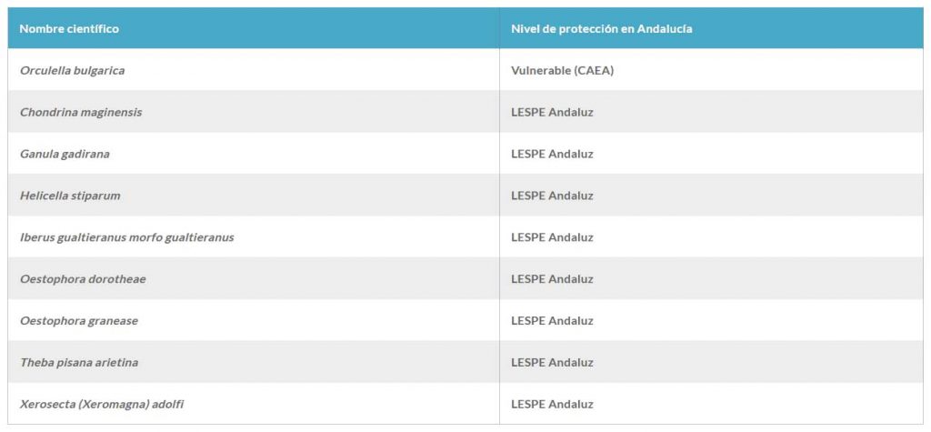 lista de especies de caracoles terrestres en Andalucía que se pueden encontrar en peligro de extinción