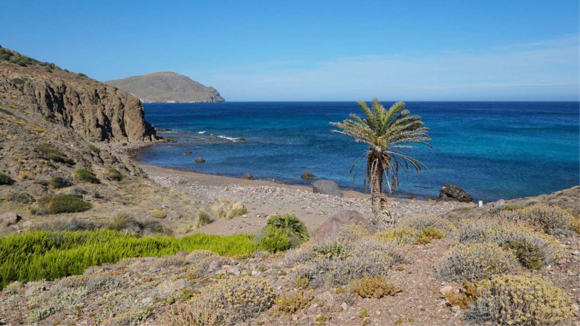 cala de los toros