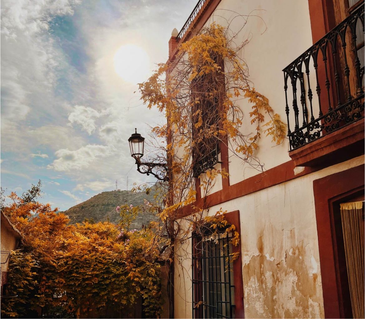restaurante alpujarra almeriense