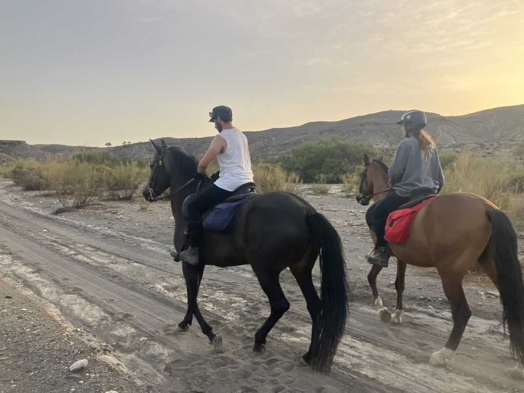 rutas a caballo por el desierto de tabernas